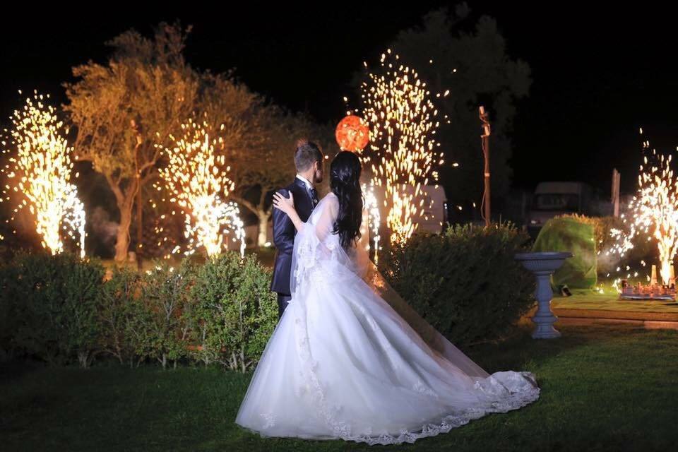 musica - animazione - pirotecnica volpe