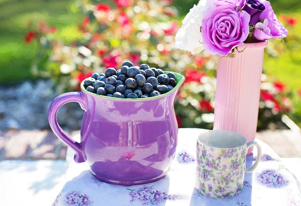 blueberries-864627_960_720.jpg