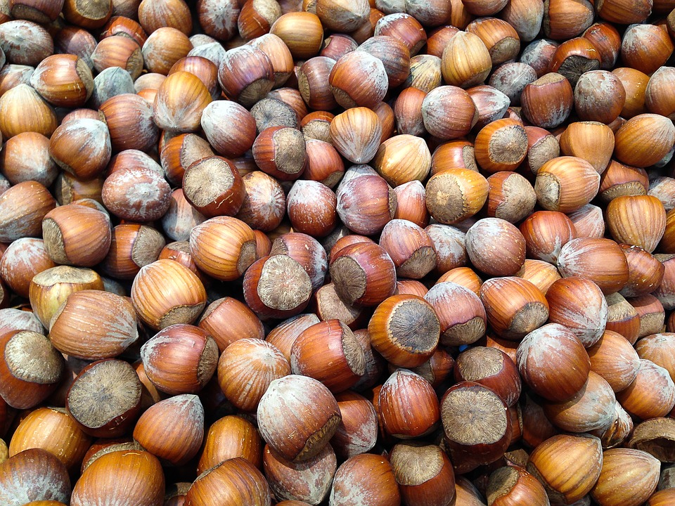 hazelnuts-1067577_960_720.jpg