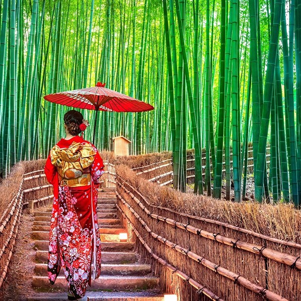 agenzia viaggi - Yara Tours